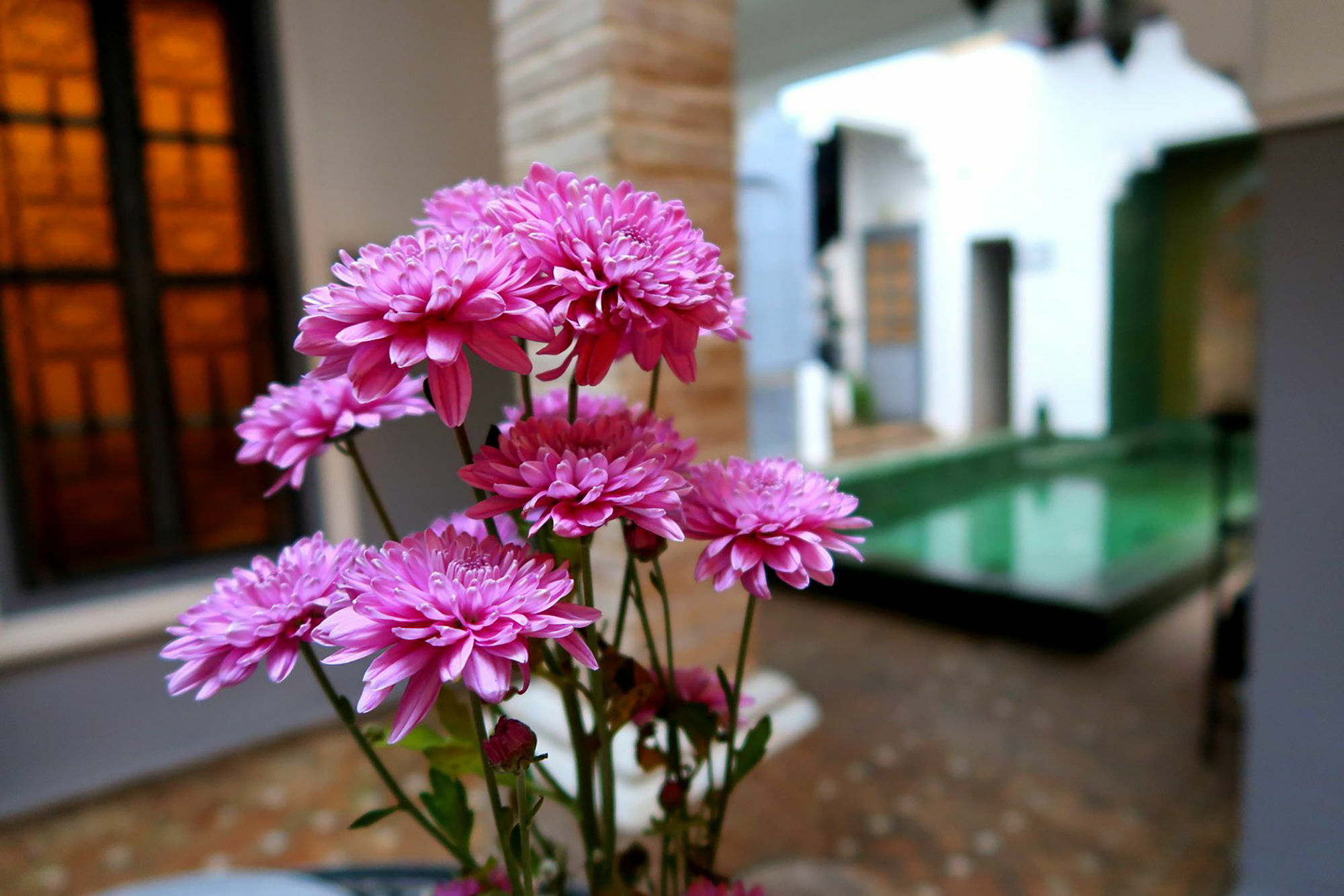 Riad Outsite Marrakesh